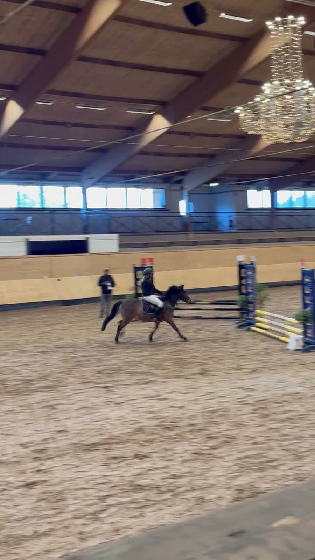 Hoppning hästar till salu: Talangfull b ponny - Video 3