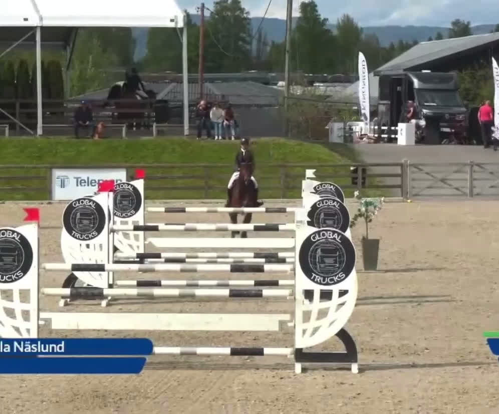 Hoppning hästar till salu: Sportig lyxig tävlingshäst i Malå - Video 1