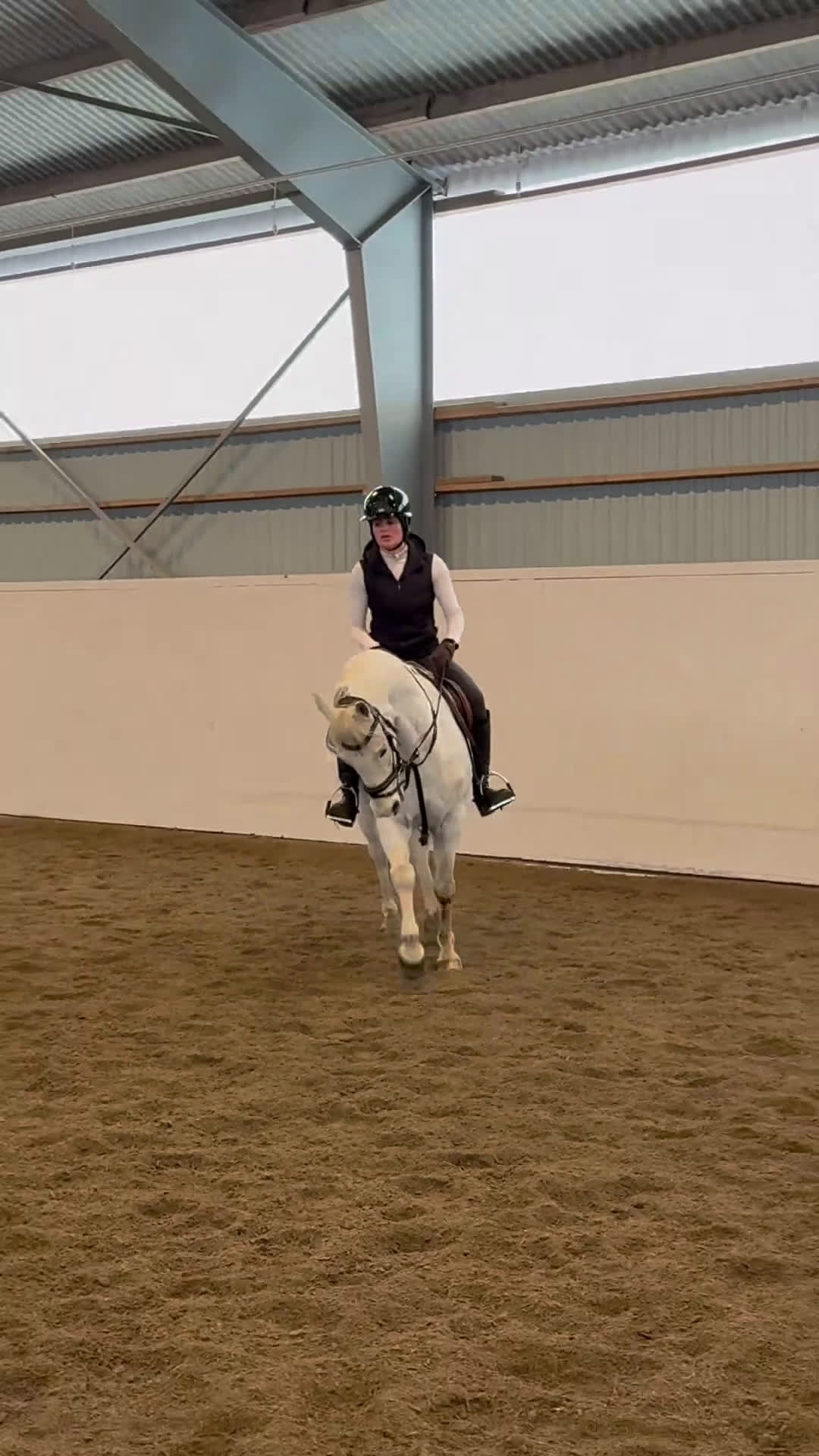 Allround hästar till salu: D- ponny med storhäst känsla till salu‼️ - Video 1