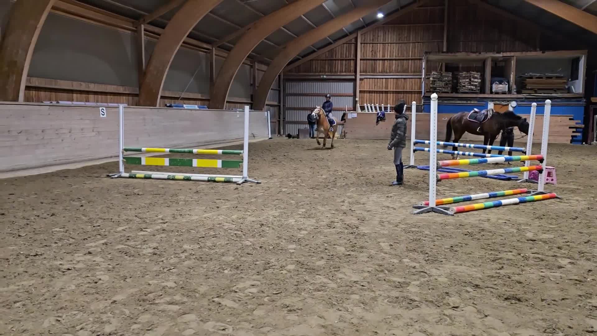 Allround hästar till salu: Superfin allroundponny, extra talang inom dressyr. - Video 2