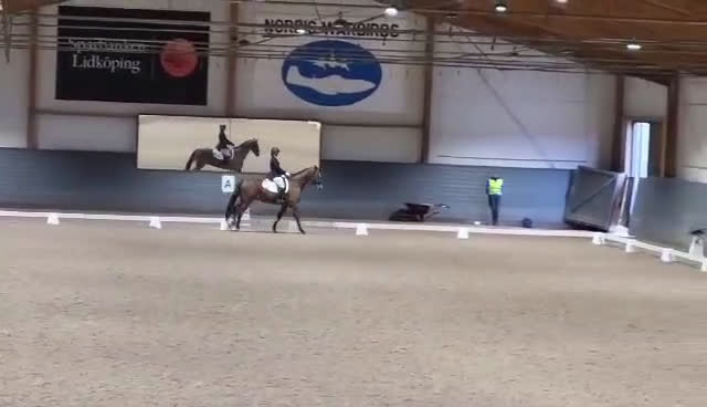 Dressyr hästar till salu: Välutbildad valack  i Varnhem - Video 1