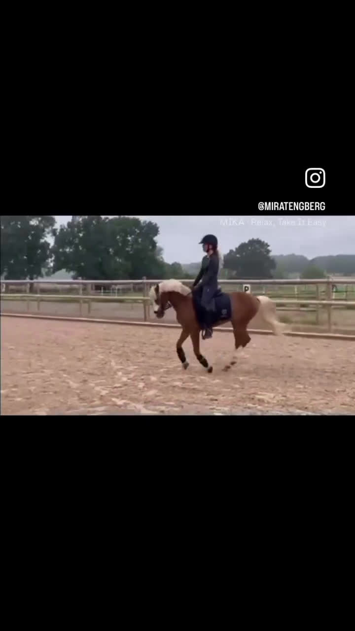 Dressyr hästar till salu: Vacker b-ponny dressyr inriktning till salu  i Asmundtorp - Video 2