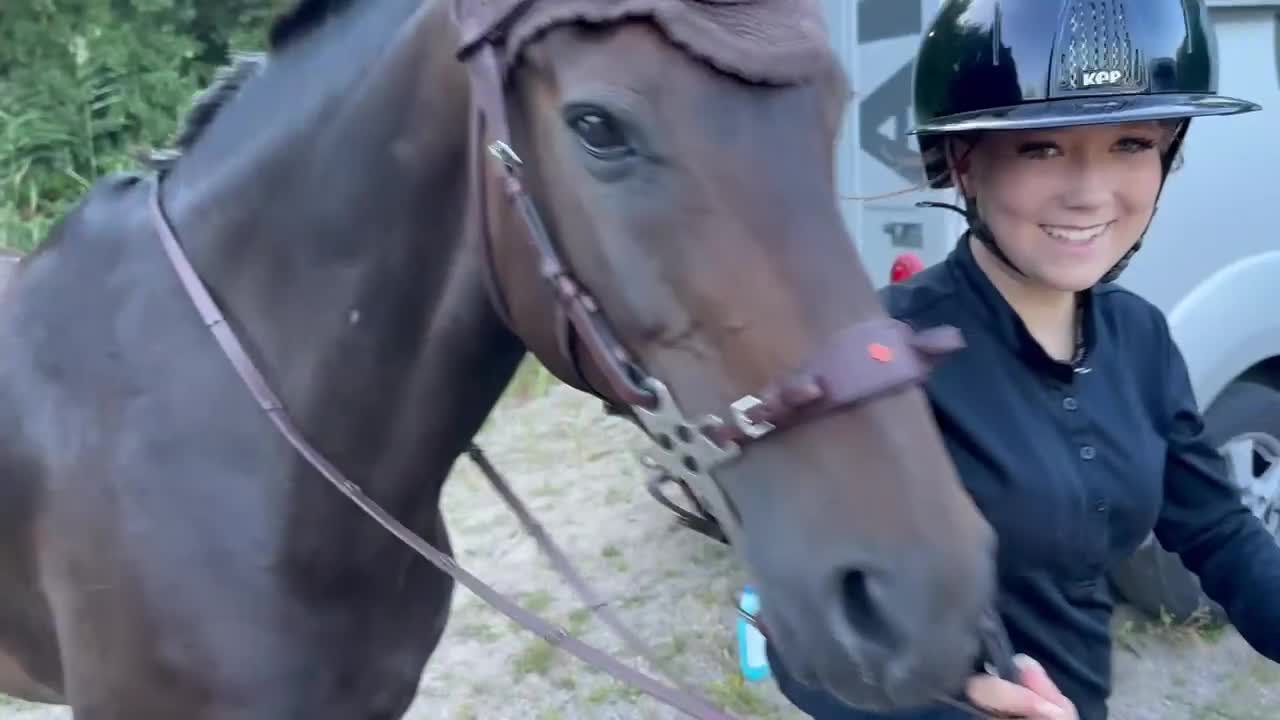 Hoppning hästar till salu: Erfaren D-ponny med vinster upp till 110 cm - Video 3