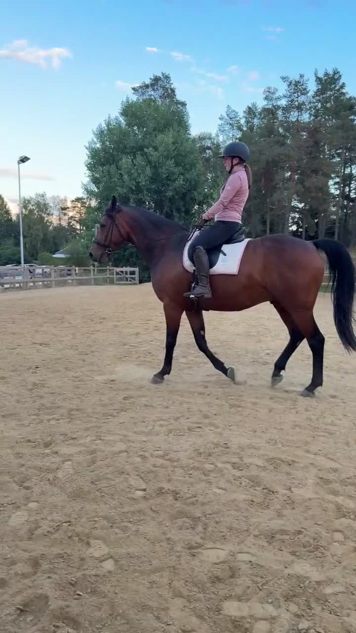 Dressyr hästar sökes: Dressyr läromästare/ låna och ta lektioner på i Vagnhärad - Video 2