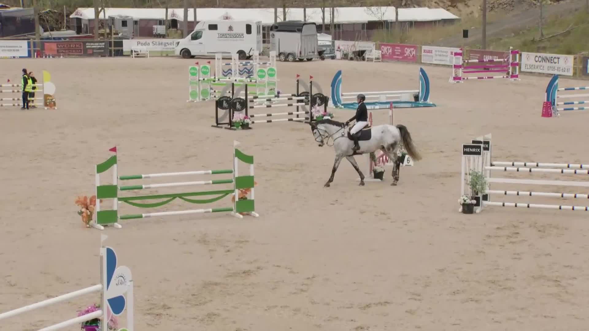 Hoppning hästar till salu: Valack med potential för stora klasser 🌟 - Video 1