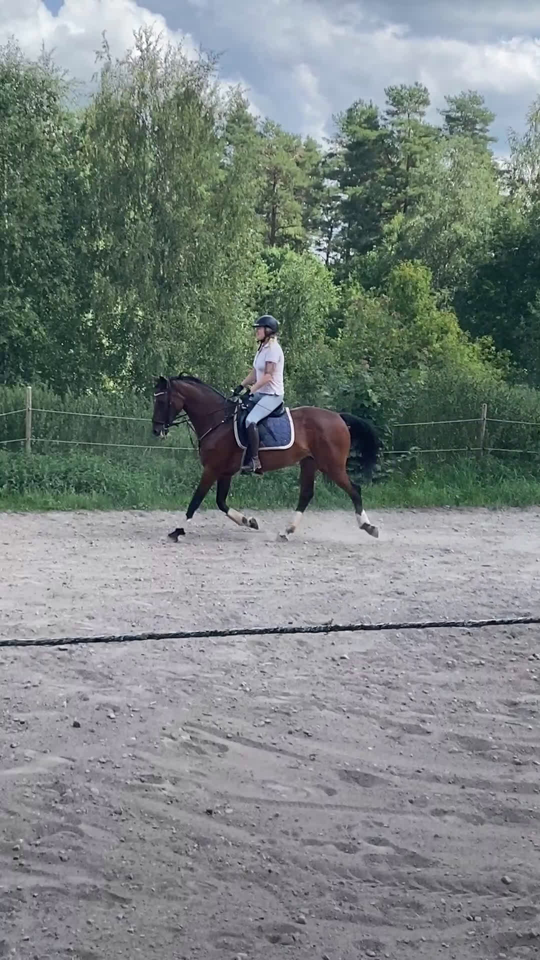 Allround hästar till salu: Intressekoll KWPN sto i Nässjö - Video 1