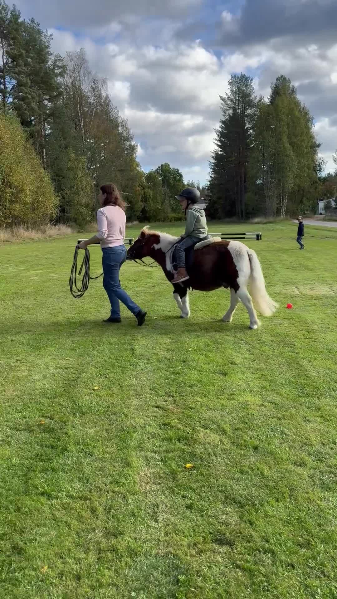 Allround hästar till salu: Charmig Shetlandsponny söker sin nya familj🦄 - Video 3