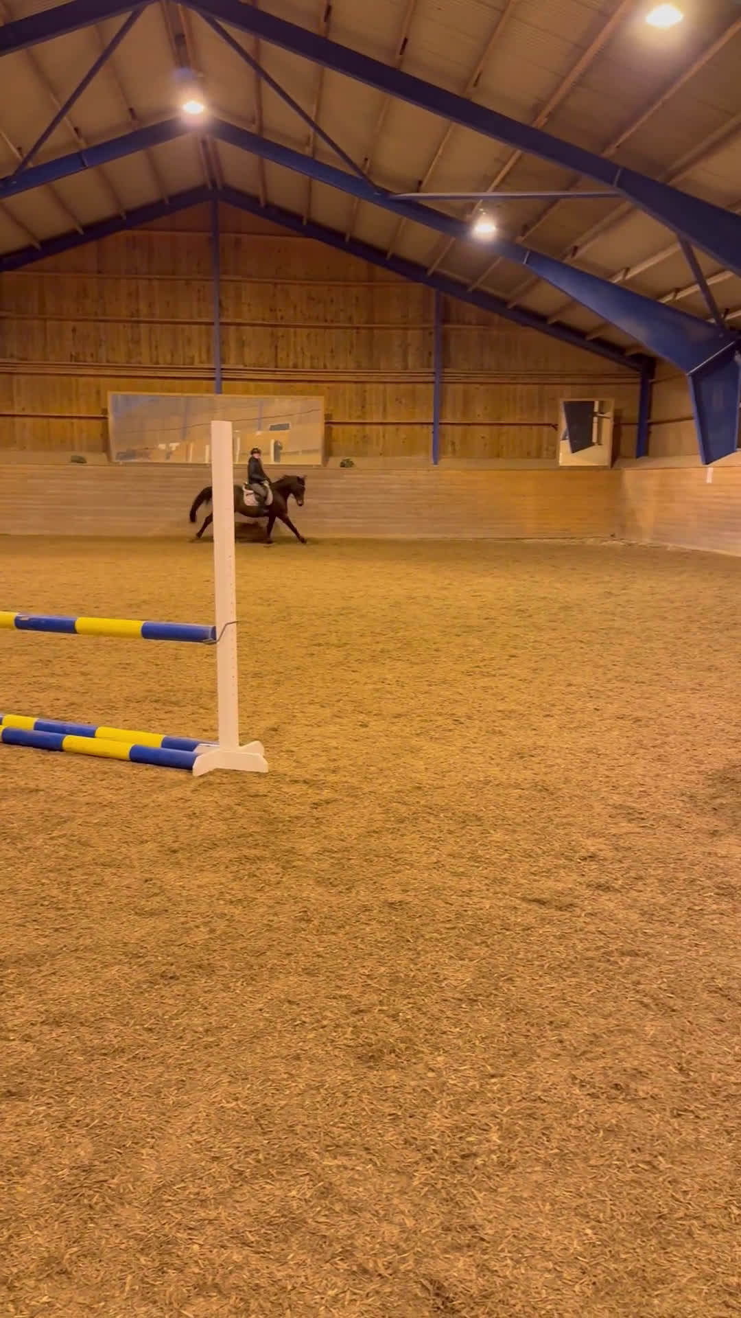 Allround hästar till salu: Trevlig Valack  i Nora - Video 1