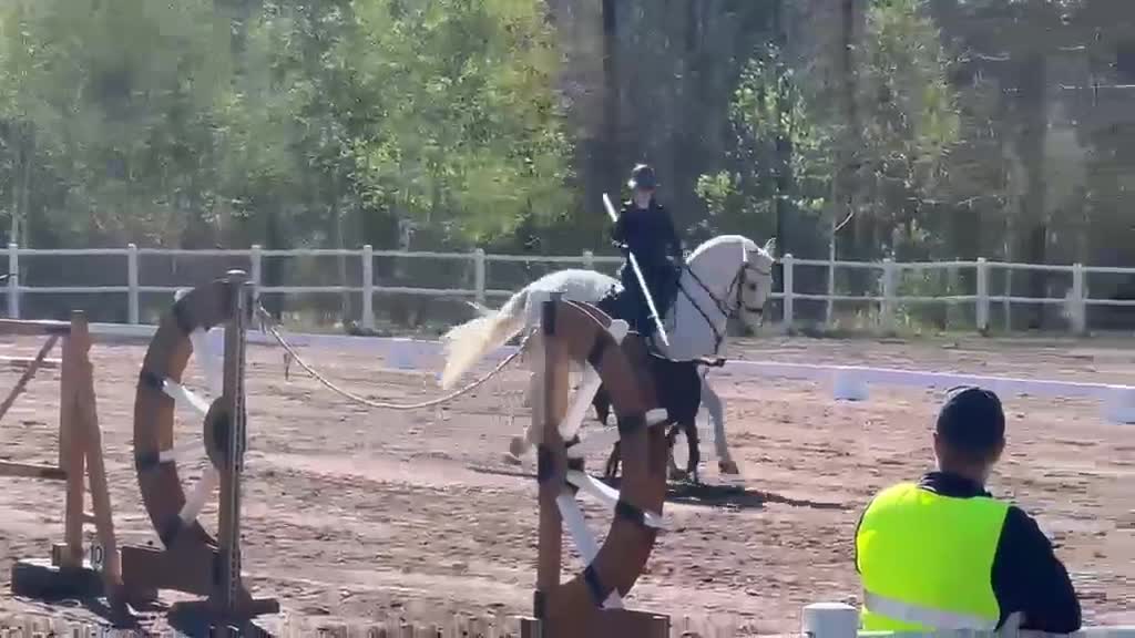 Working Equitation hästar till salu: Välutbildad läromästare i WE & dressyr i Skövde - Video 2