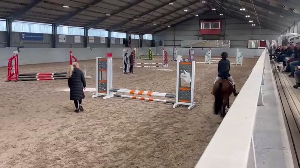 Allround hästar till salu: Fantastisk B-ponny  i Malmö - Video 1