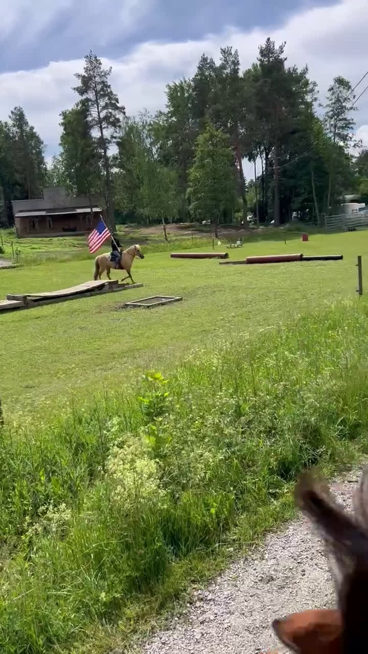 Allround hästar till salu: Fantastiskt sto utöver de vanliga! i Haninge - Video 1