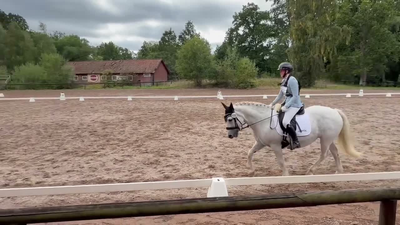 Allround hästar till salu: Hoppglad D-ponny  - Video 3