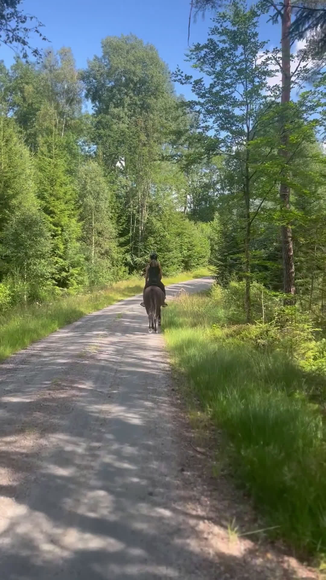 Allround hästar till salu: Ungponny att utvecklas med 🌸 i Gislaved - Video 2