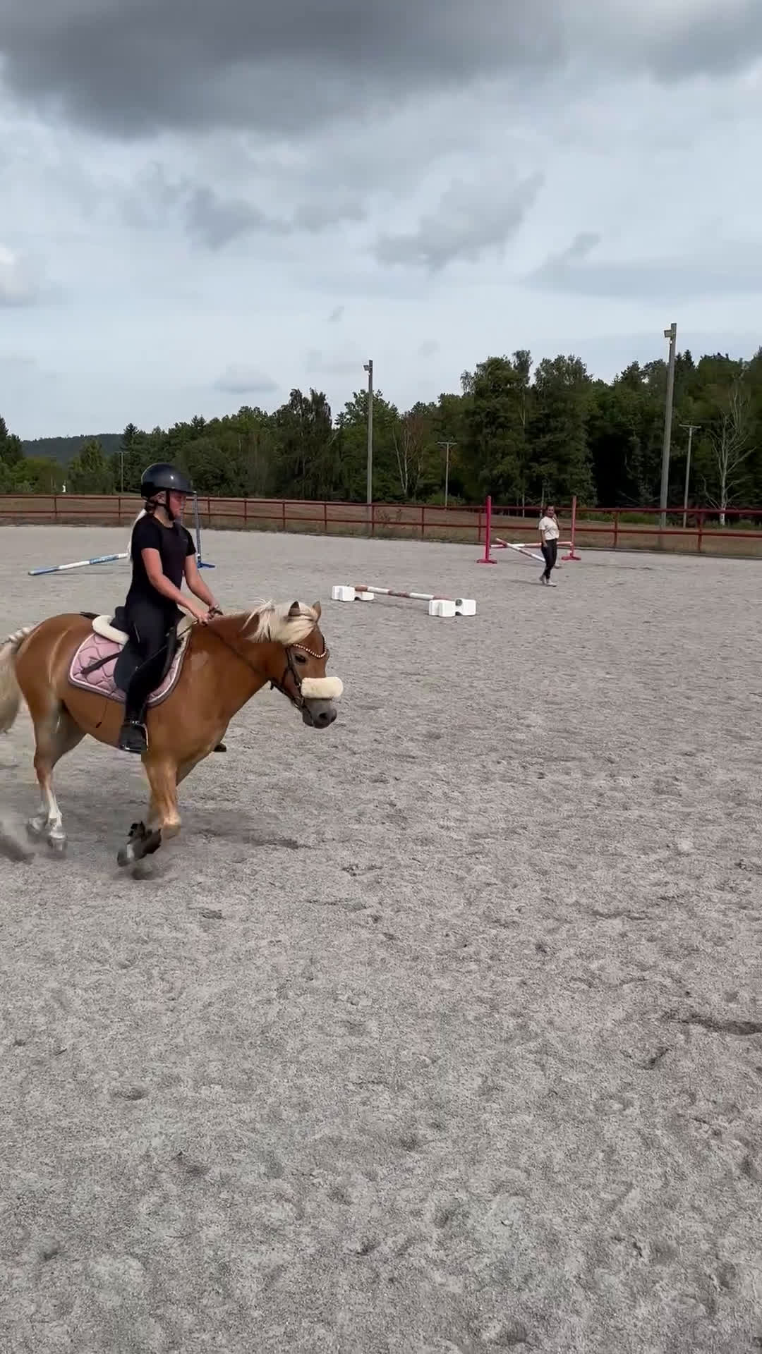Körning hästar till salu: läromästare söker nytt kärleksfullt hem  i Näsum - Video 1