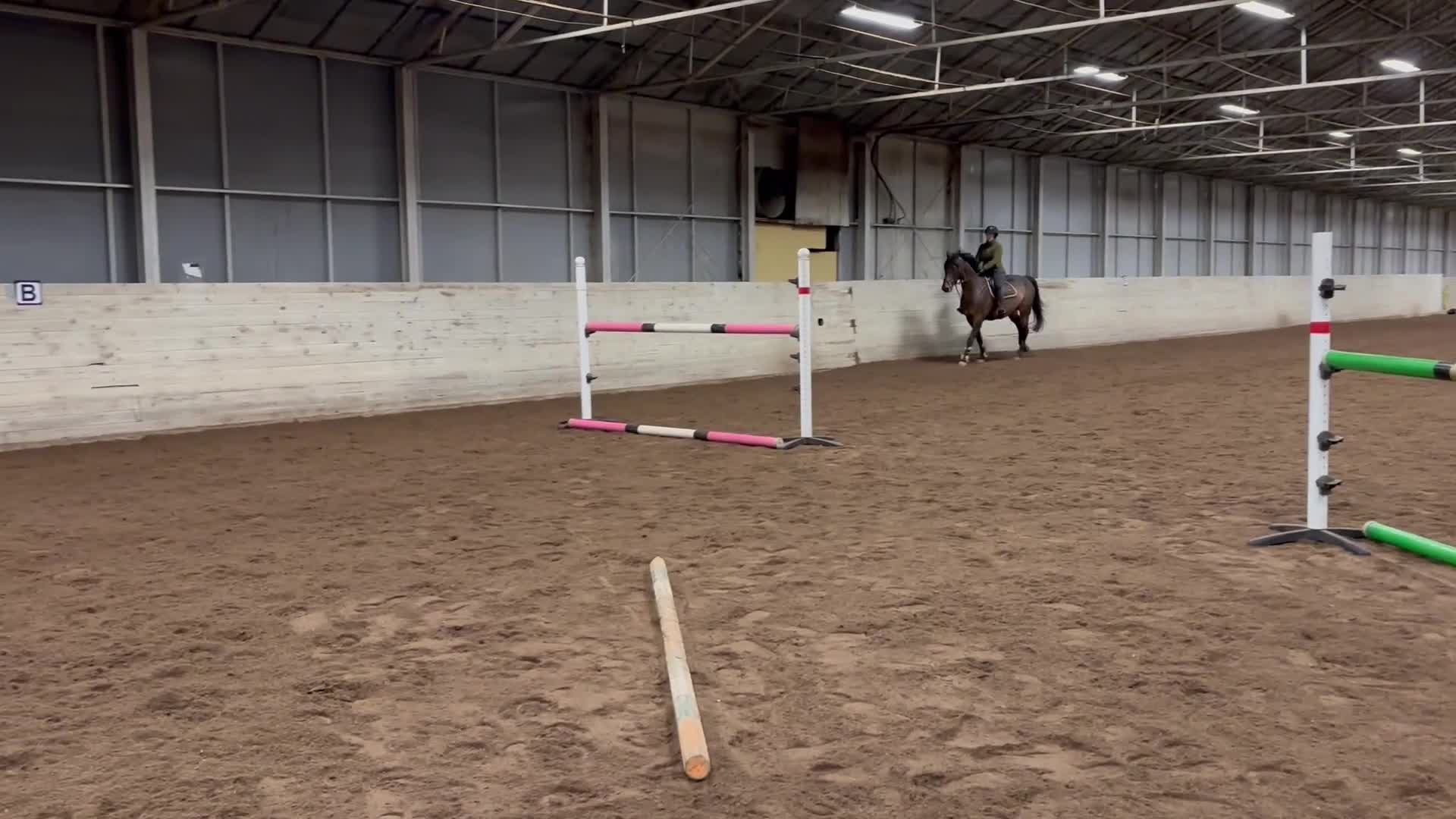 Hoppning hästar till salu: Fantastisk sto till salu i Tungelsta - Video 1