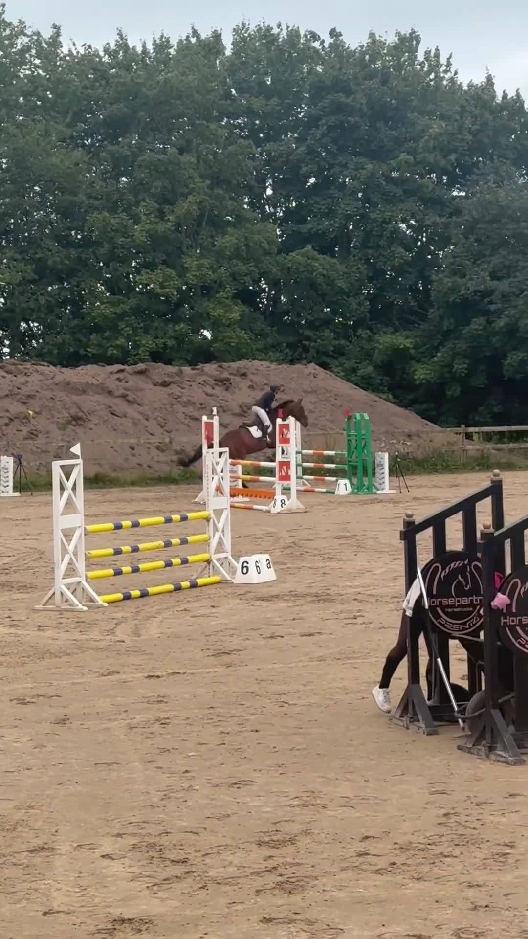 Allround hästar till salu: Underbart sto!  - Video 2