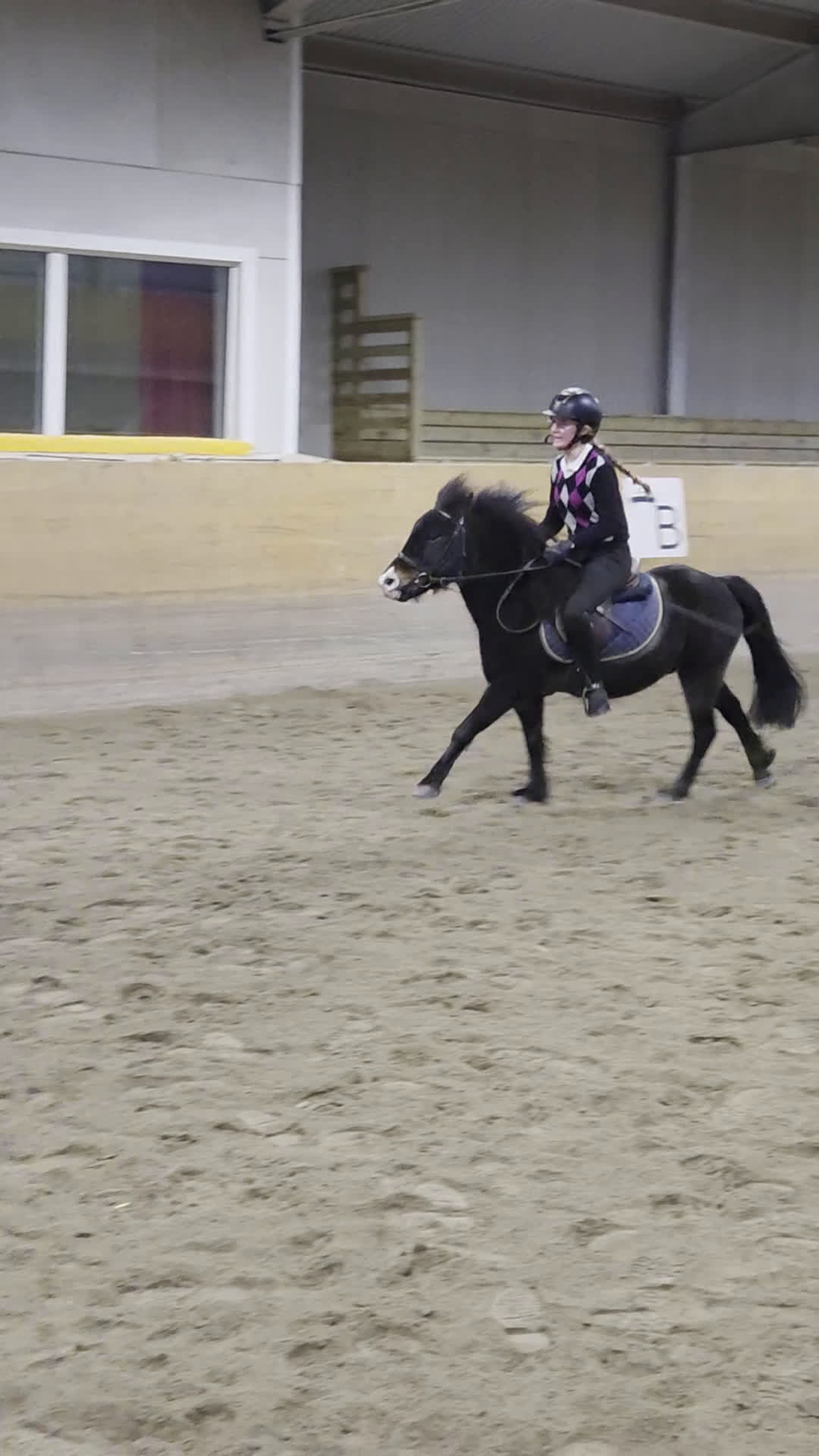 Allround hästar till salu: Supersnäll barnponny i Vintrosa - Video 2