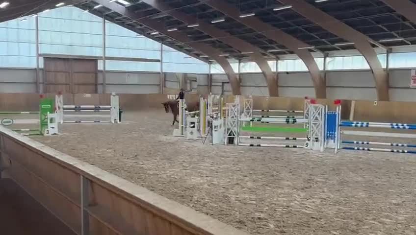 Hoppning hästar till salu: Sto med potential  i Trelleborg - Video 3