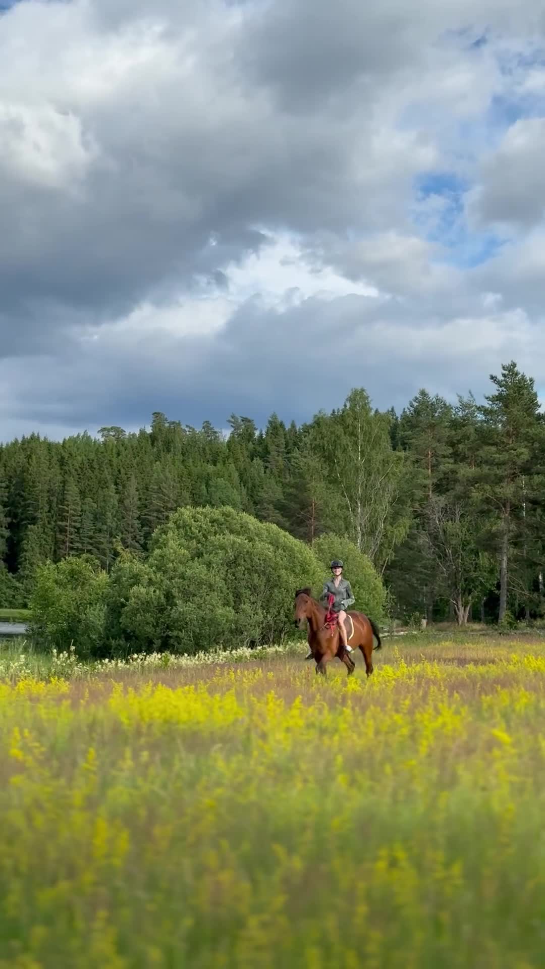 Allround hästar till salu: Världens snällaste sto!⭐️ i Vetlanda - Video 1