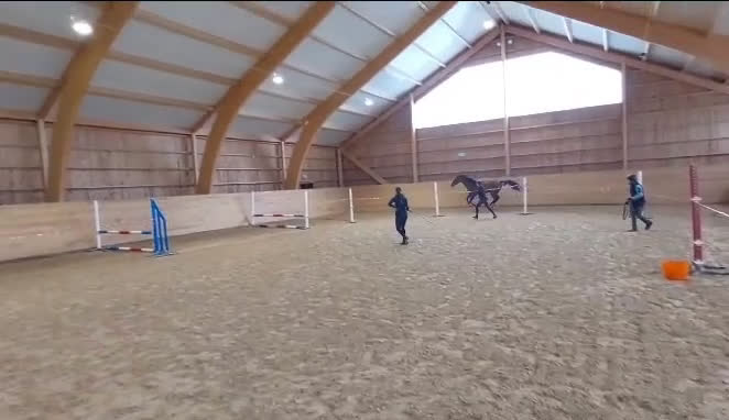 Hoppning hästar till salu: 3-årigt sto till ett mkt bra pris! i Tungelsta - Video 3