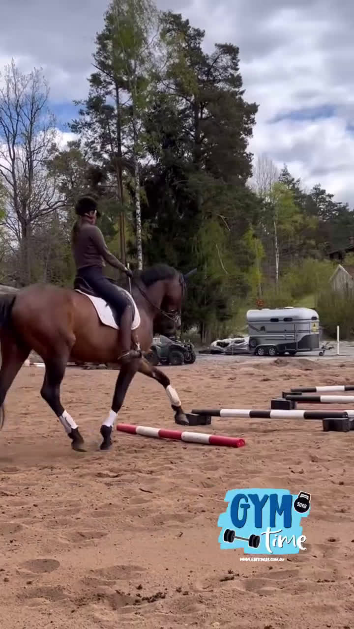 Allround hästar till salu: Till uteritt / hoppning  - Video 2