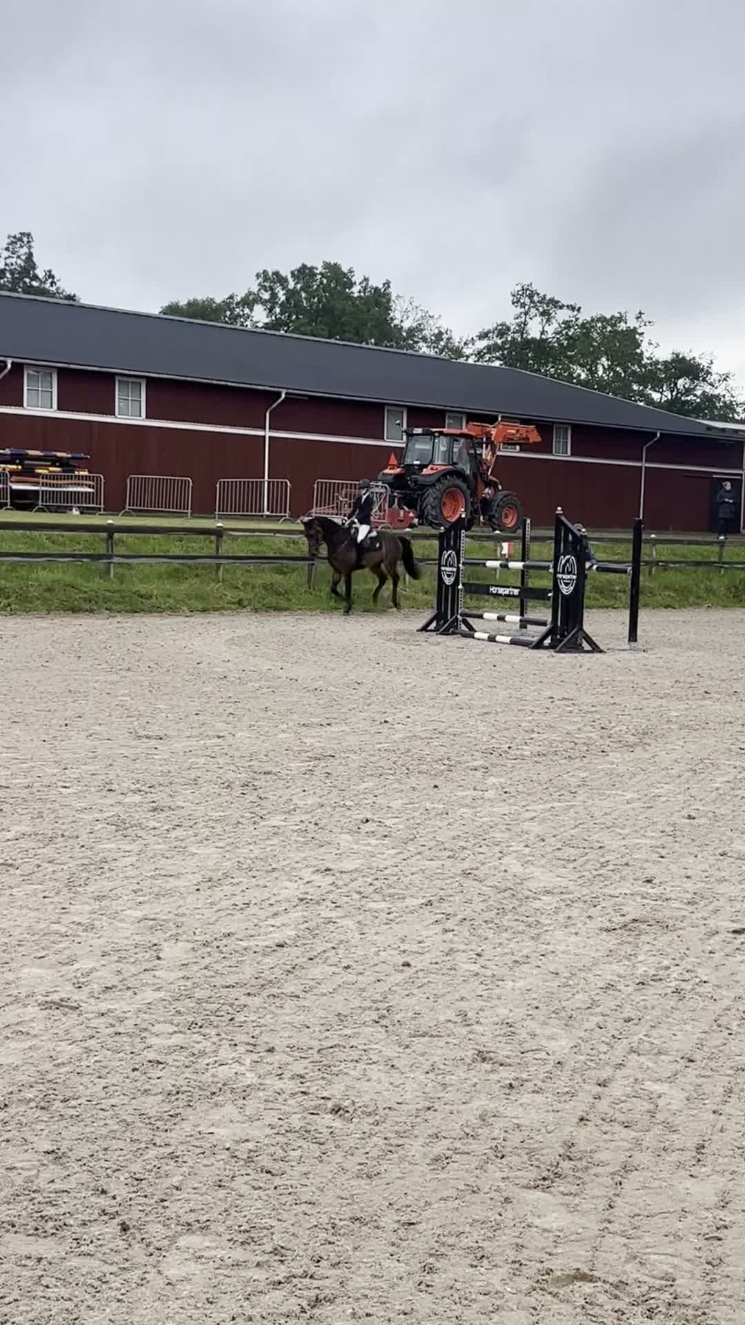 Hoppning hästar till salu: Fantastisk fin valack för höga klasser i Eldsberga - Video 1