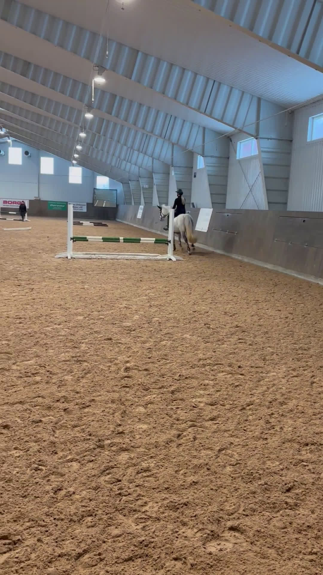 Hoppning hästar till salu: Connemara sto, maxad D ponny i Kungsbacka - Video 1