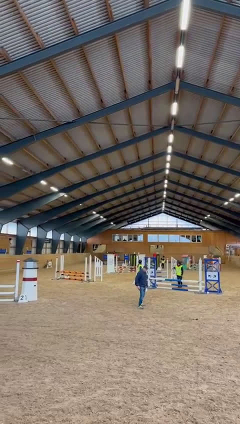 Allround hästar till salu: Fin C-ponny till salu  - Video 1