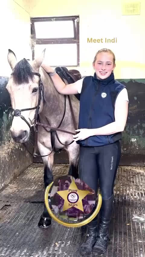 Fälttävlan hästar till salu: Searching for an Event Pony? i Brøndby - Video 1