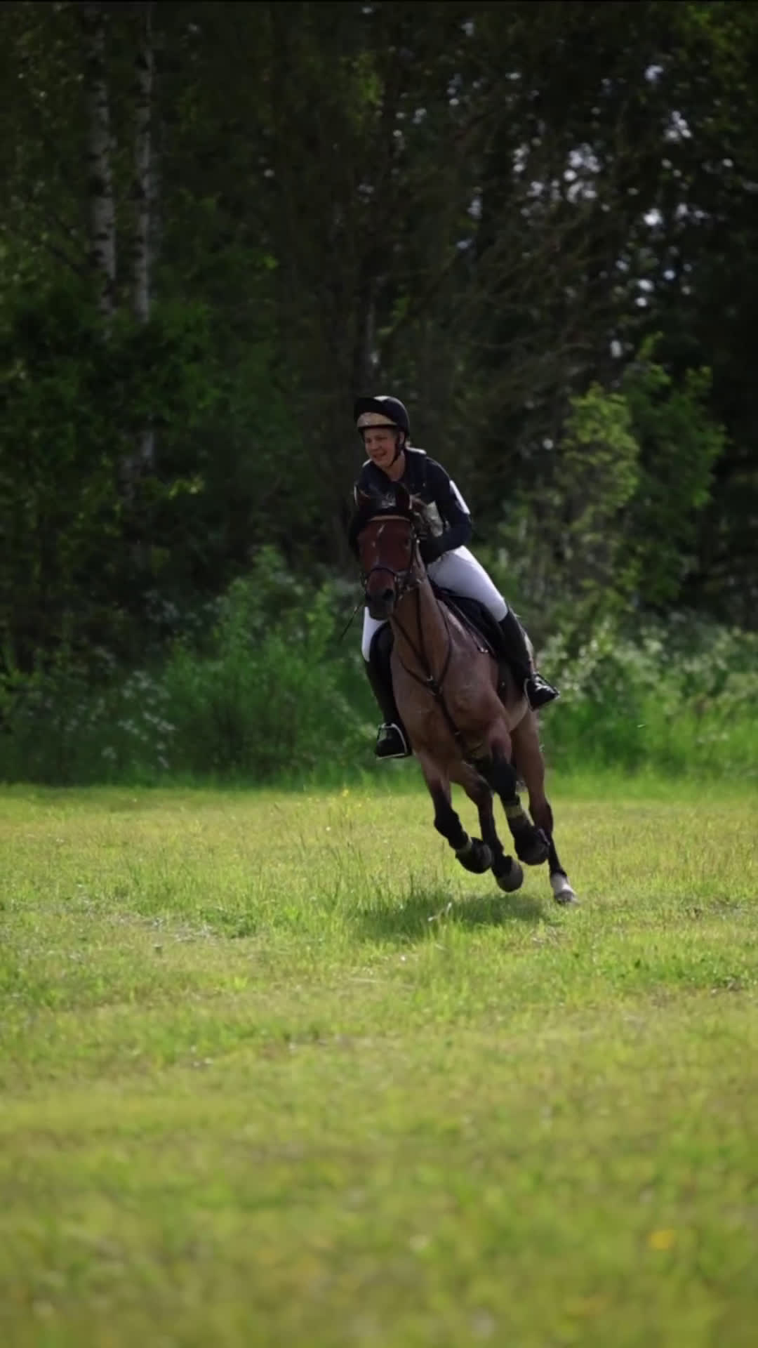  hästservice finnes: Utbilning/Försäljning med gedigen grundutbildning - Video 1