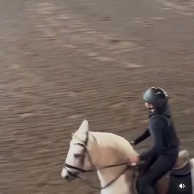 Allround hästar till salu: Charmig kille med hjärta av guld!💙🚀 i Varberg - Video 4
