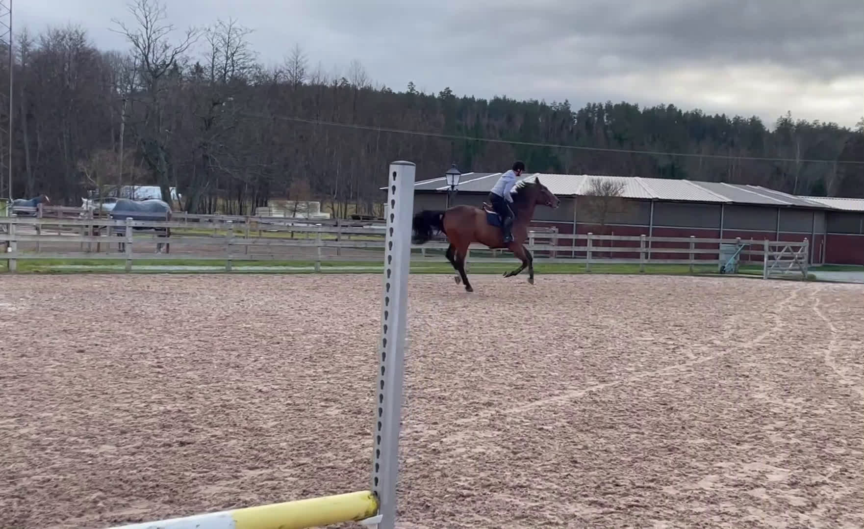 Hoppning hästar till salu: Cool valack med kraftfullt språng i Strängnäs - Video 1