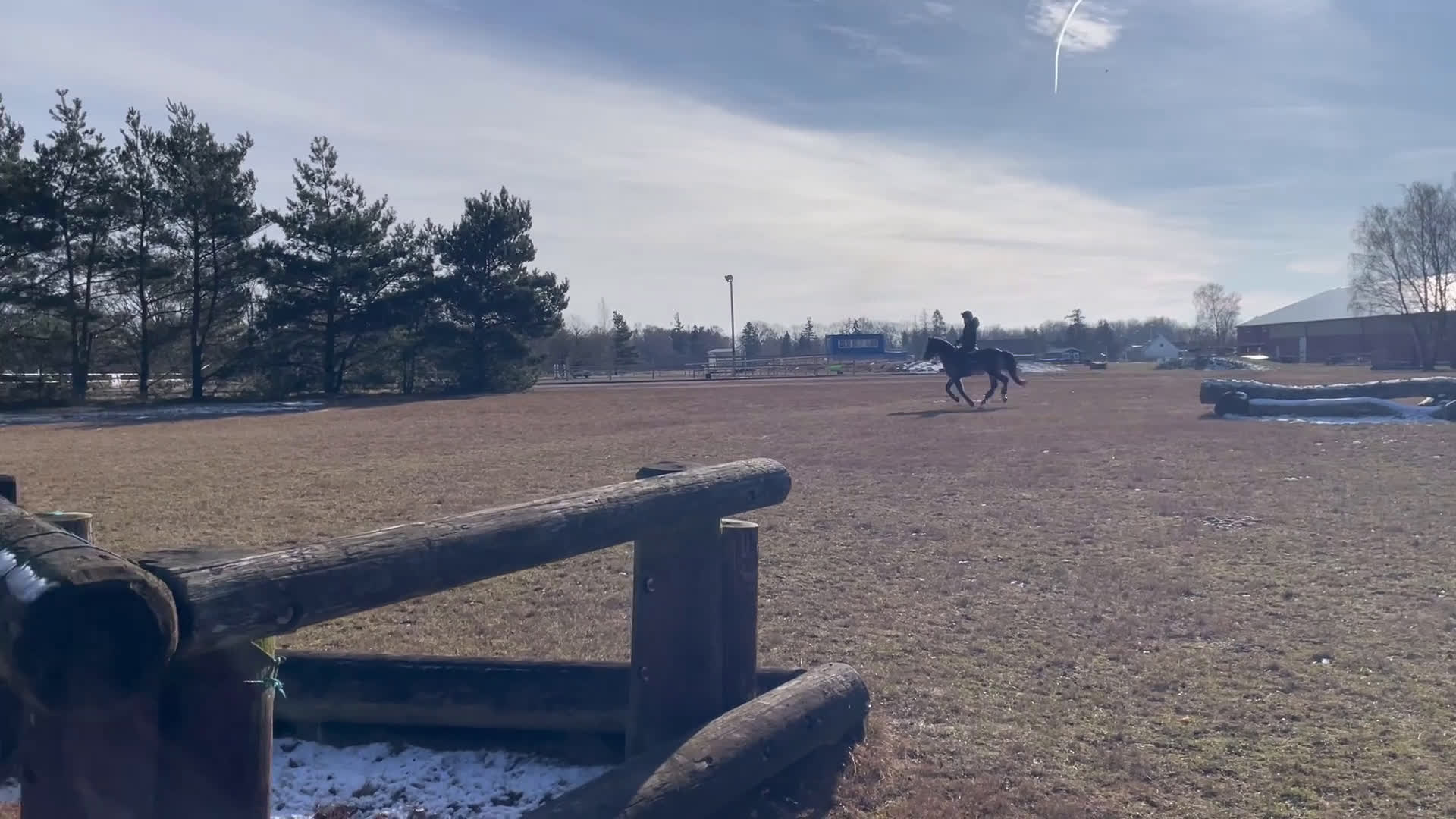 Allround hästar till salu: SM ponny i hoppning och fälttävlan till salu i Dösjebro - Video 2