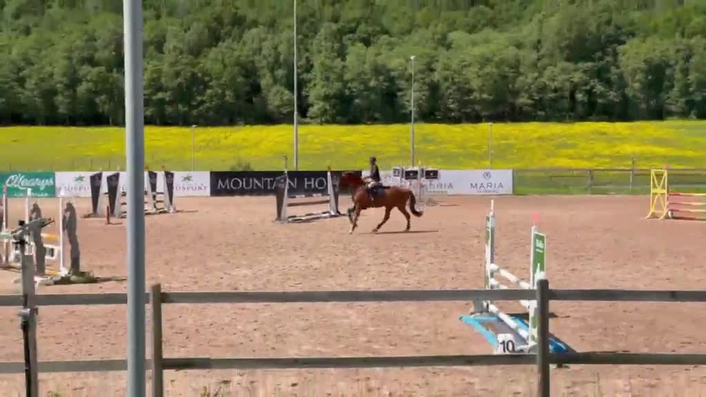 Hoppning hästar till salu: En bästa vän som blir vad du gör honom till! - Video 1