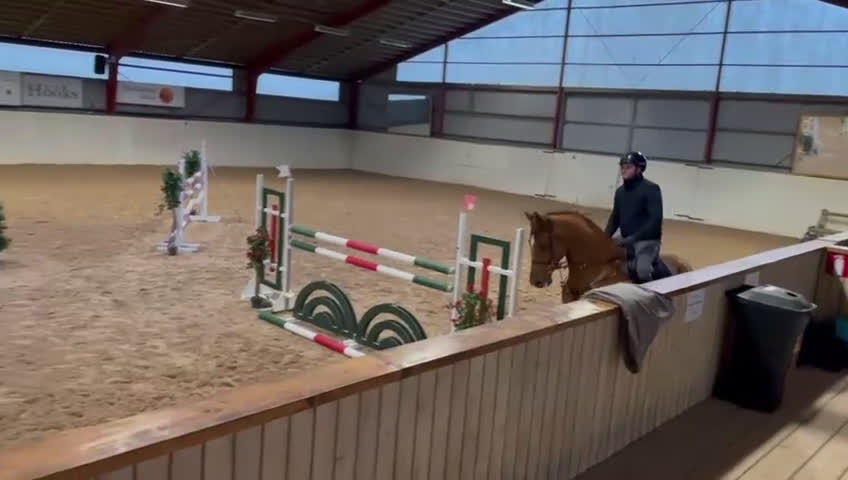 Hoppning hästar till salu: Kief Leo – modig schoolmaster i Höllviken - Video 2