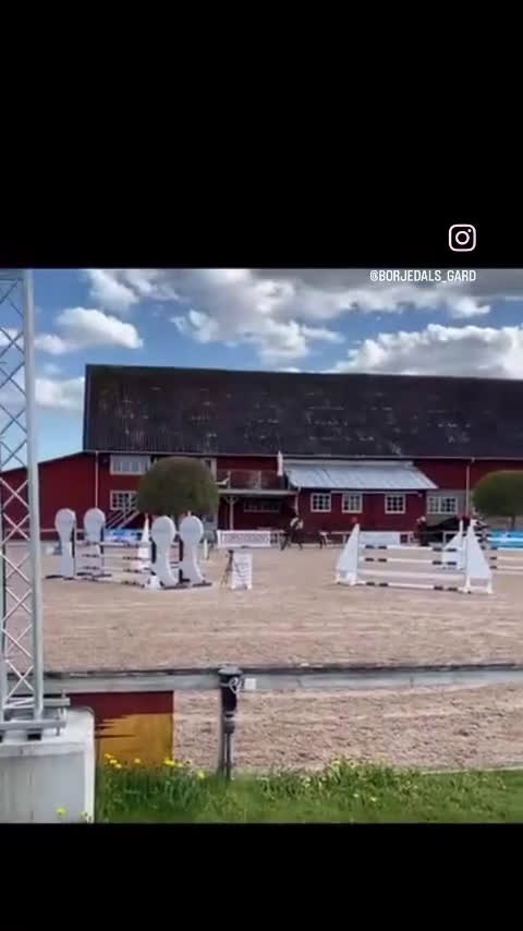 Hoppning hästar till salu: Fantastiskt fin tävlingshäst lättriden med scop - Video 4