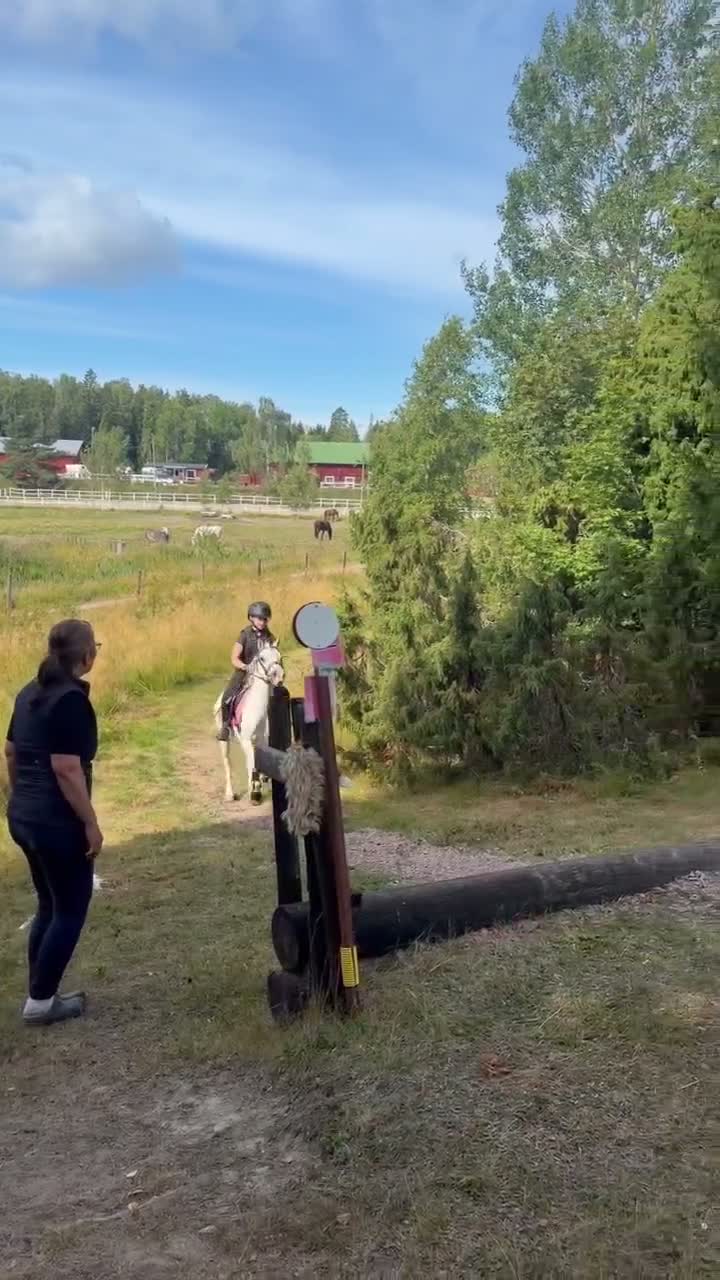 Allround hästar till salu: Trygg allroundponny i Enköping - Video 3