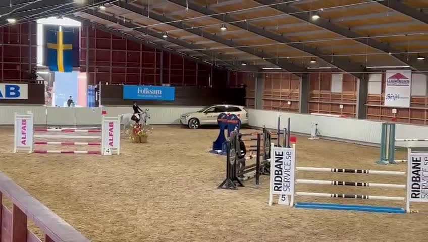 Hoppning hästar till salu: Topponny för högre klasser i Göteborg - Video 4