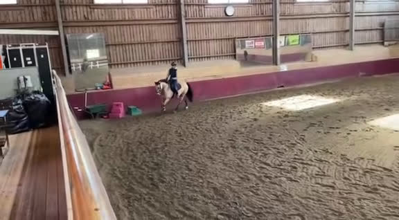 Allround hästar till salu: Guldponny med stort G i Västra Frölunda - Video 1