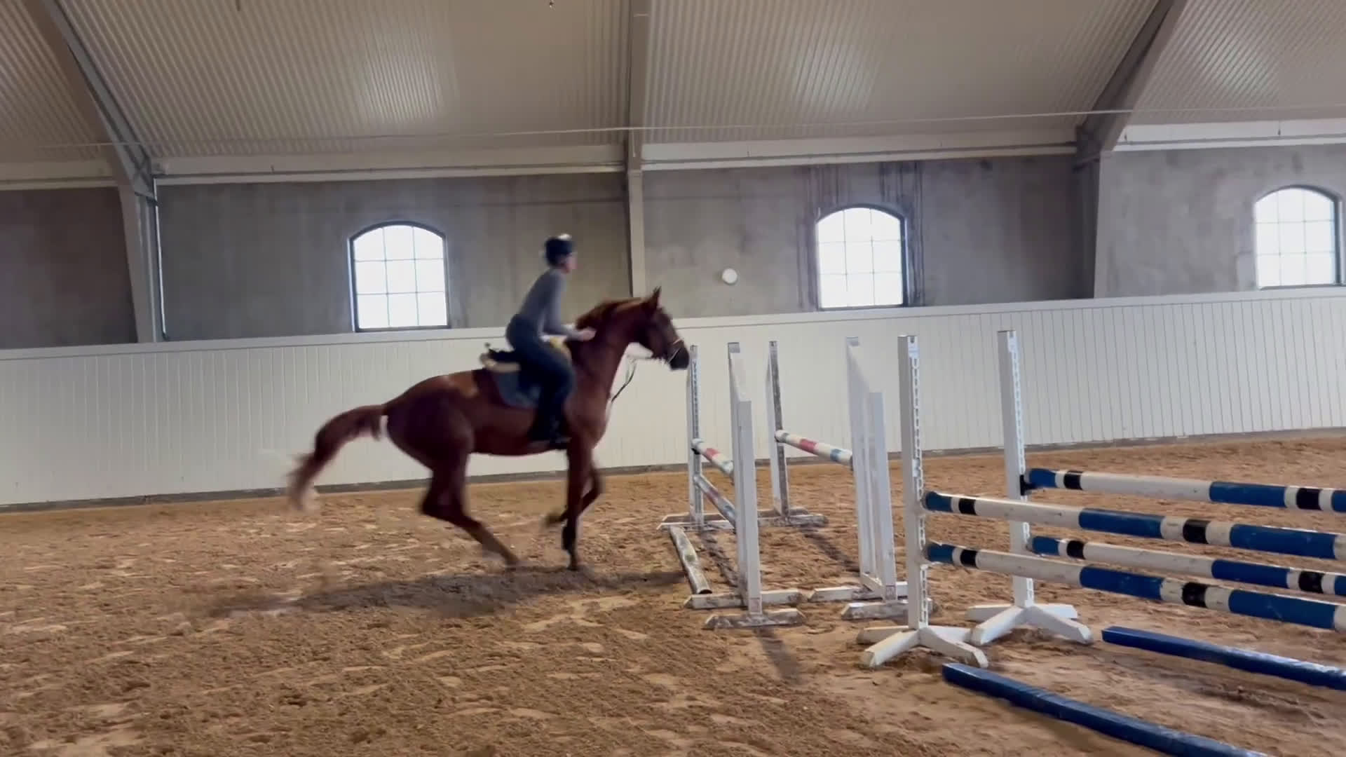 Hoppning hästar till salu: 4åring hingst med mkt kvalitet i Vellinge - Video 1