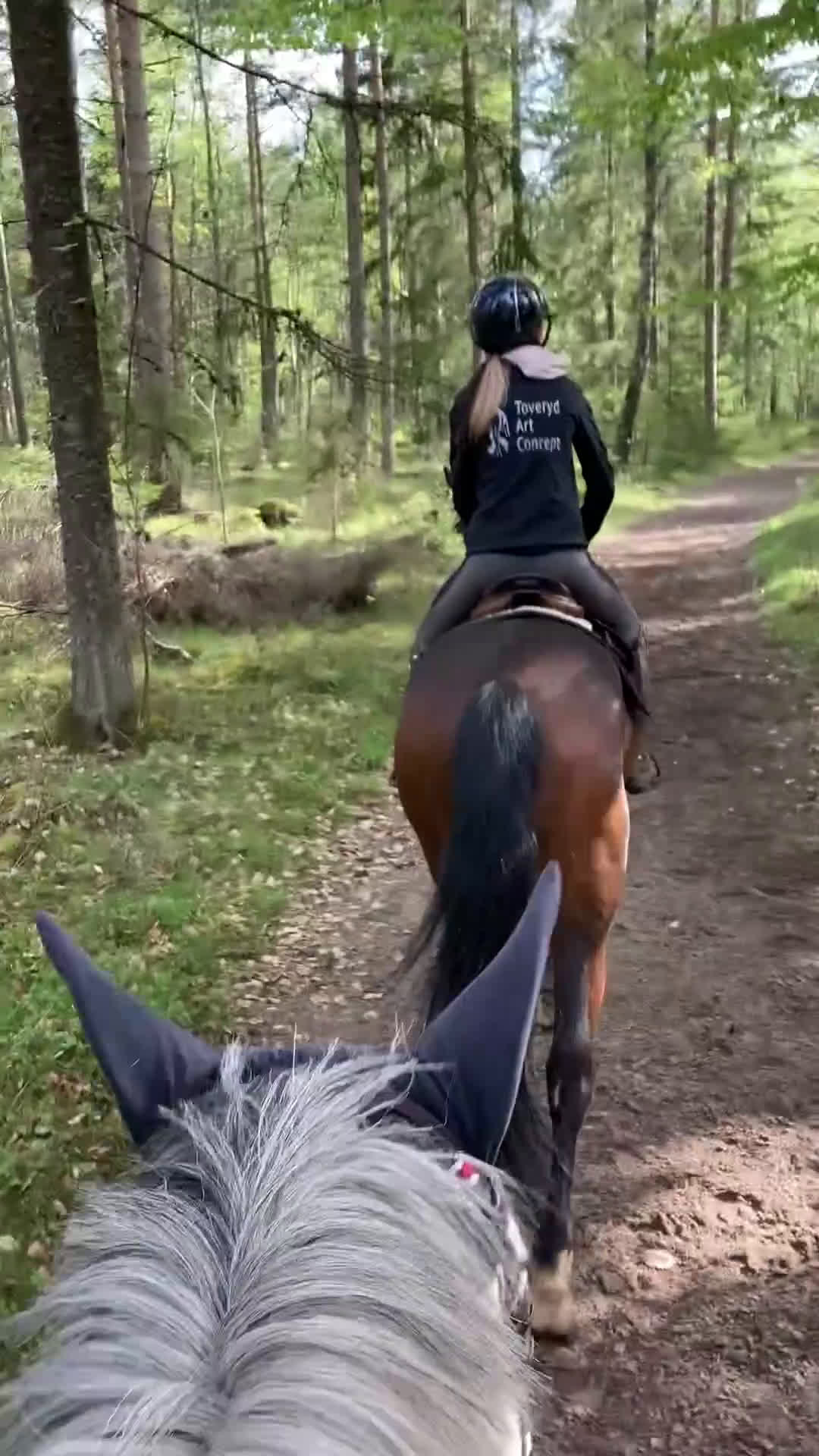  stallplats finnes: Stallplats på stall Toveryd i Jönköping - Video 3