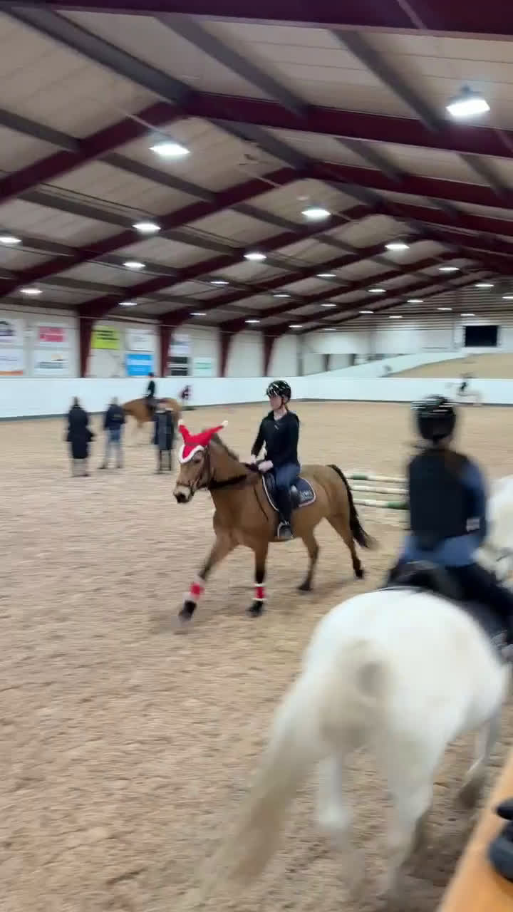 Allround hästar sökes: ⚠️MEDRYTTARHÄST/FÖDERHÄST SÖKES I SUNDSVALL⚠️ i Sundsvall - Video 5