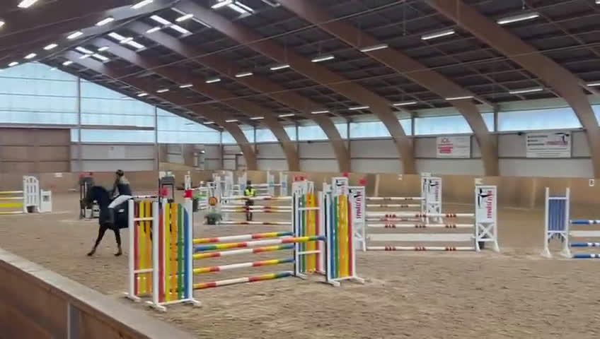 Hoppning hästar till salu: Lovande 5 åring i Blentarp - Video 2