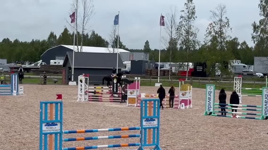 Hoppning hästar till salu: Snygg och storhoppande valack med kapacitet - Video 1