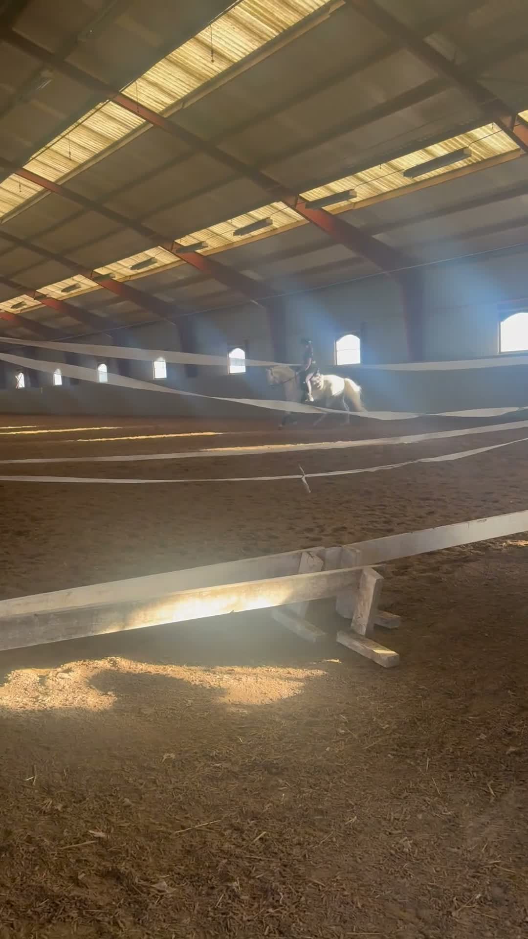 Dressyr hästar till salu: Fin ponny som är rolig att rida varje dag!💞 - Video 2