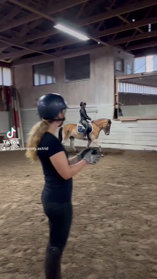 Allround hästar till salu: Underbart gotlandsruss  - Video 1