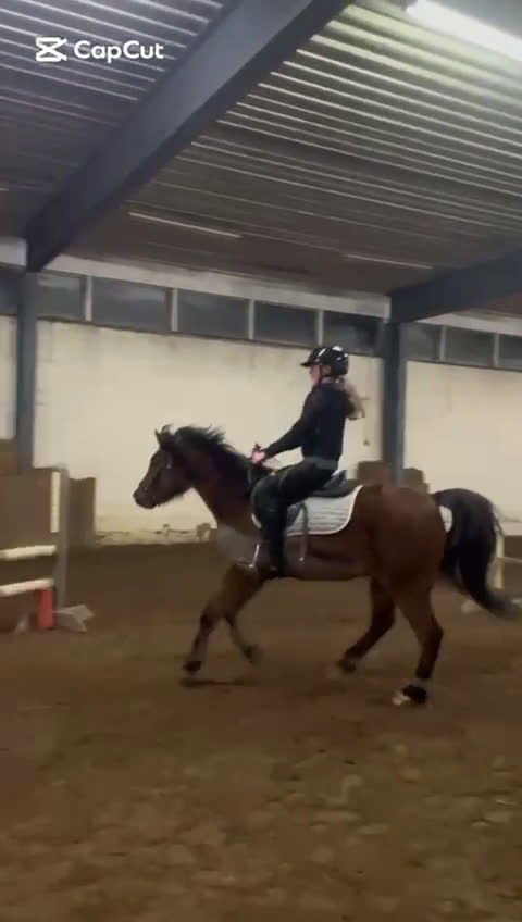 Övrigt hästar sökes: Ansvarstagande medryttare finnes! i Linköping - Video 1