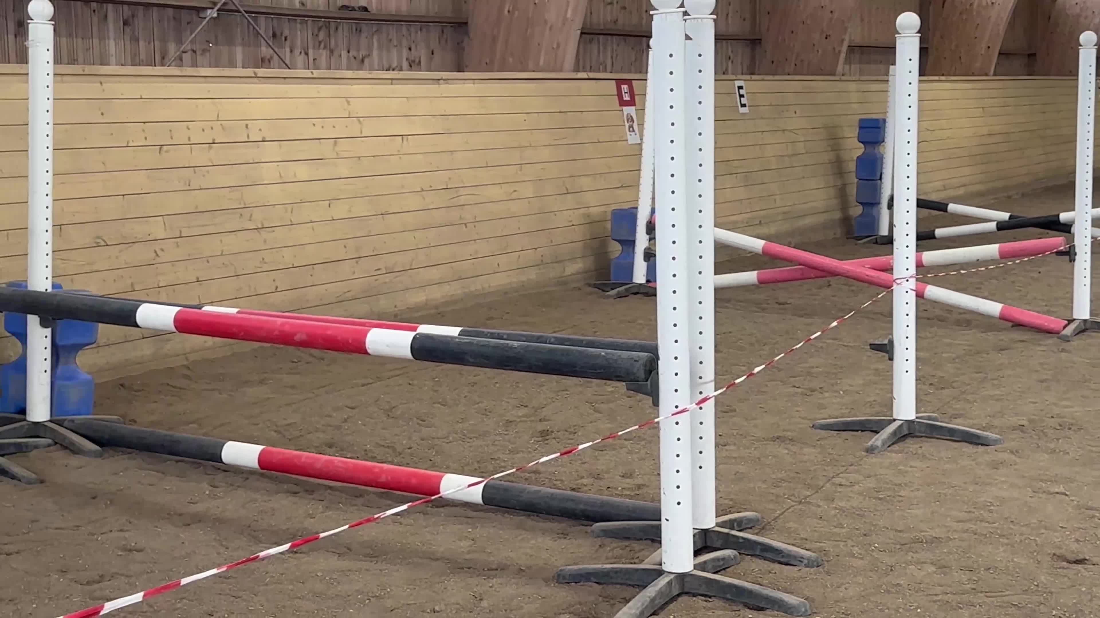 Allround hästar till salu: Fin formbar B-ponny till salu  i Nora - Video 2