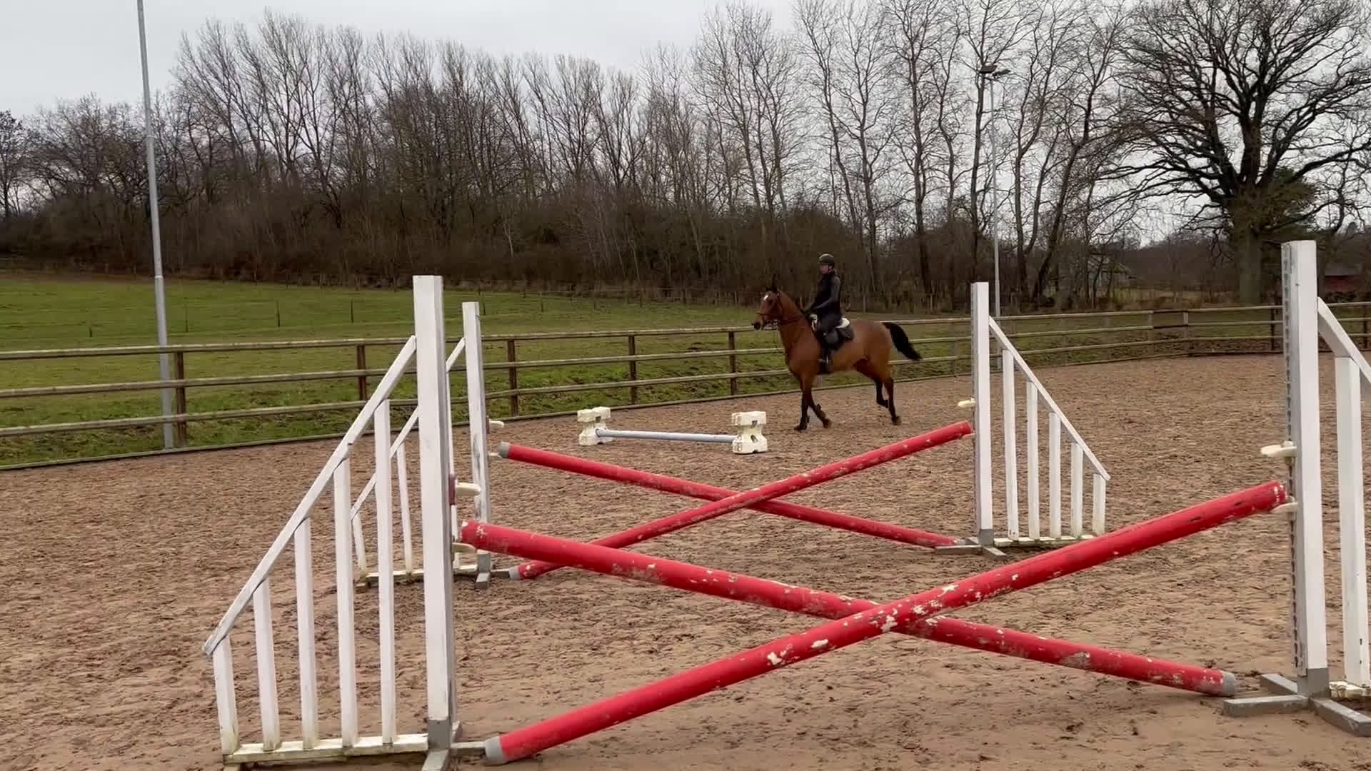 Hoppning hästar till salu: Fin 8-åring - Video 1