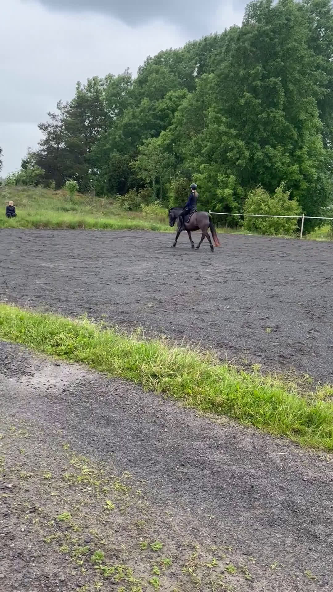 Körning hästar till salu: Härligt Familjeruss - Video 1